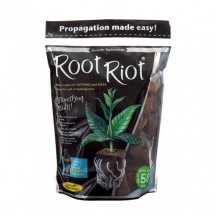 mini2-root-riot-50-cubes-germination-bouturage.jpg