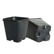 mini2-pot-carre-noir-plastique-10x10x11-09l.jpg