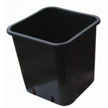 mini2-pot-carre-noir-plastique-18x18x23-6ltr.jpg