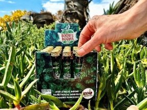 mini2-boom-boom-spray-20ml-in-der-box_64665-28164.jpg