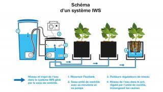 mini2-schemaiws_systeme.jpg