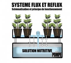 mini2-shema-flux-et-reflux.jpg