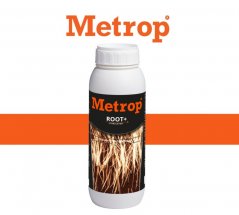 mini2-root+-1l.jpg